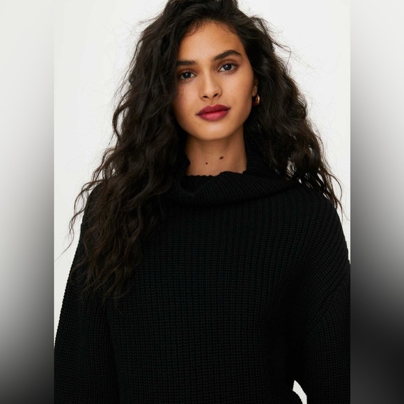 Aritzia Wilfred Montpellier Knit Turtleneck 100% Wool Size XS Oversized - Picture 2 of 14